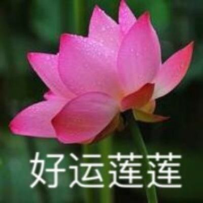 血与沙ol手游bt版下载